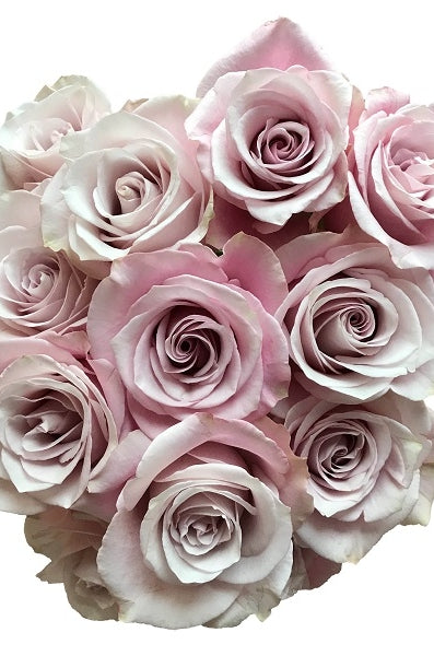 secret-garden-roses