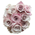 secret-garden-roses