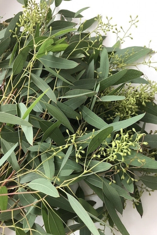 Seeded Eucalyptus Greenery Fresh