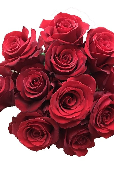 Sexy Red Roses