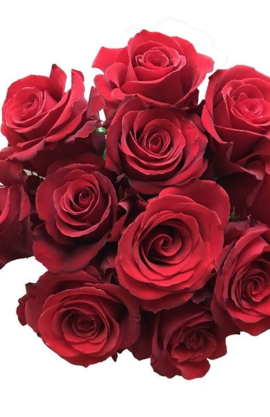 Sexy Red Roses