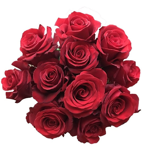 Sexy Red Roses