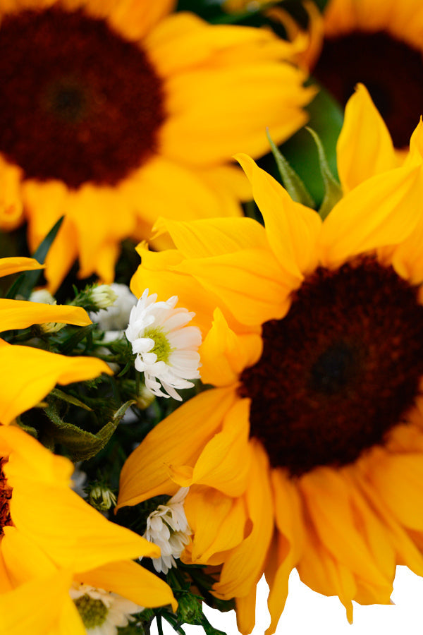 Sunflower Bouquet