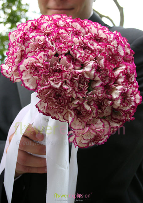 Purple & White Carnations Toss Away Bouquet
