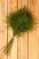 Tree Fern Filler