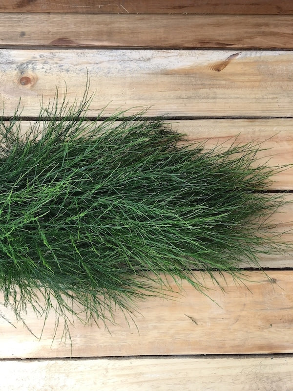 holiday tree fern garland