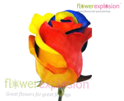 Tricolor Roses | Yellow, Blue, Red