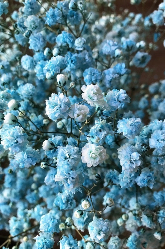 Tinted Turquoise Gypso