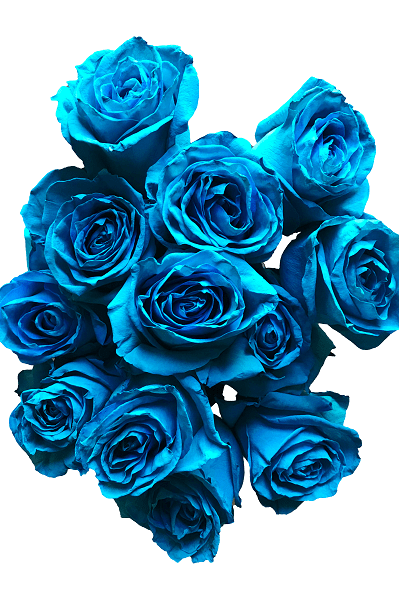 turquoise rose bouquet