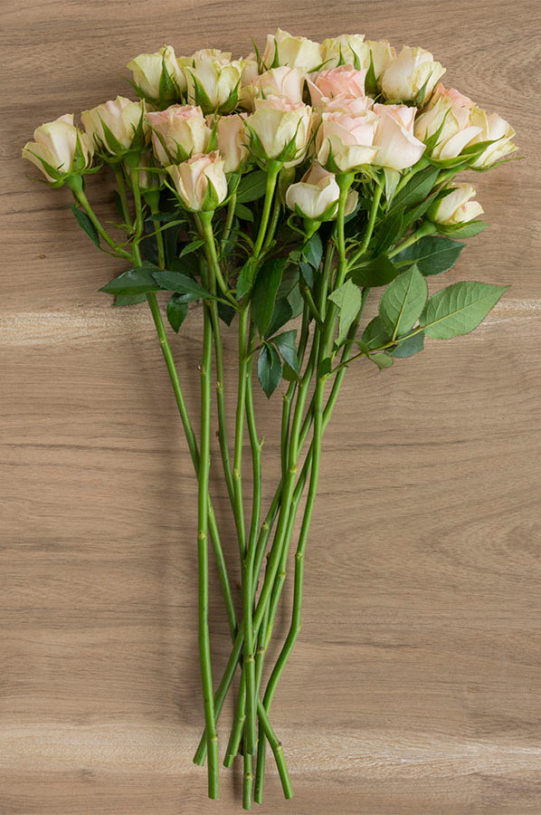 Peach Spray Roses - flowerexplosion.com