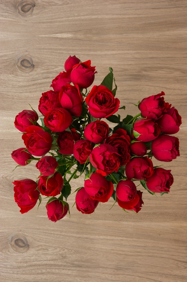 Red Spray Roses