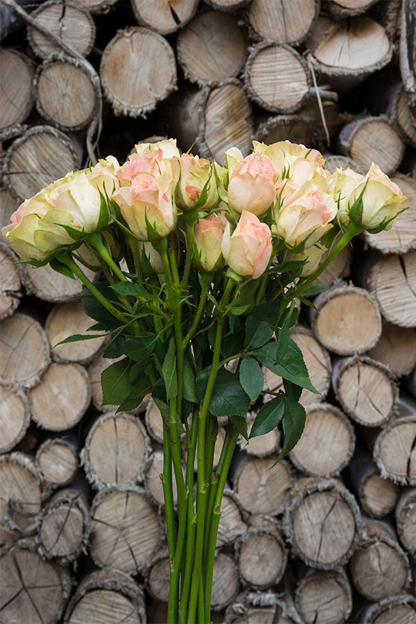 Peach Spray Roses - flowerexplosion.com