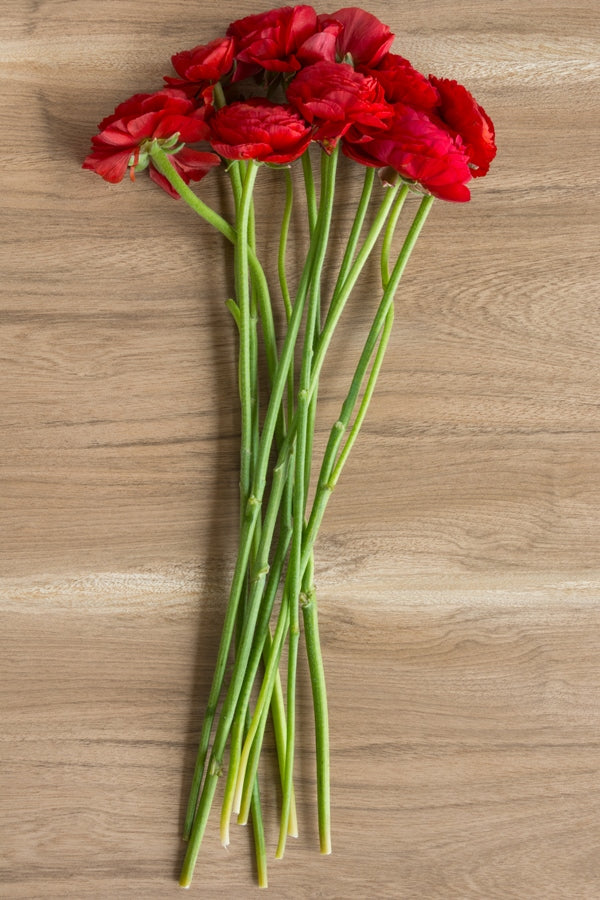 Red Ranunculus Stems on Table