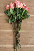 Imagination Rose