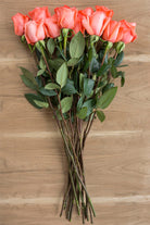 Amsterdam Rose