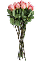 Imagination Rose