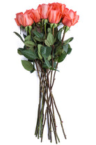 Amsterdam Rose