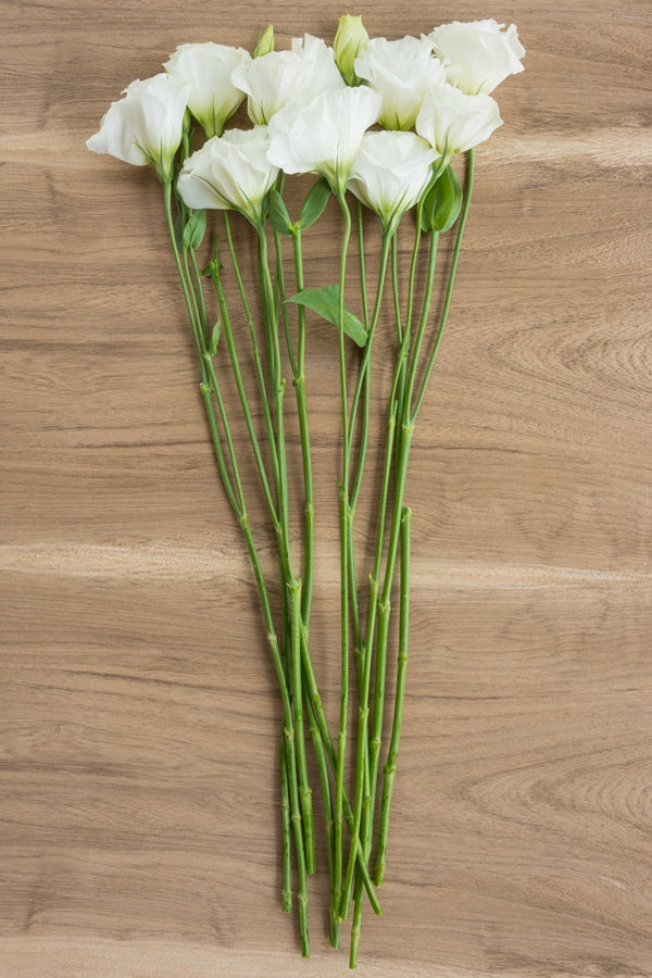 Lisianthus White