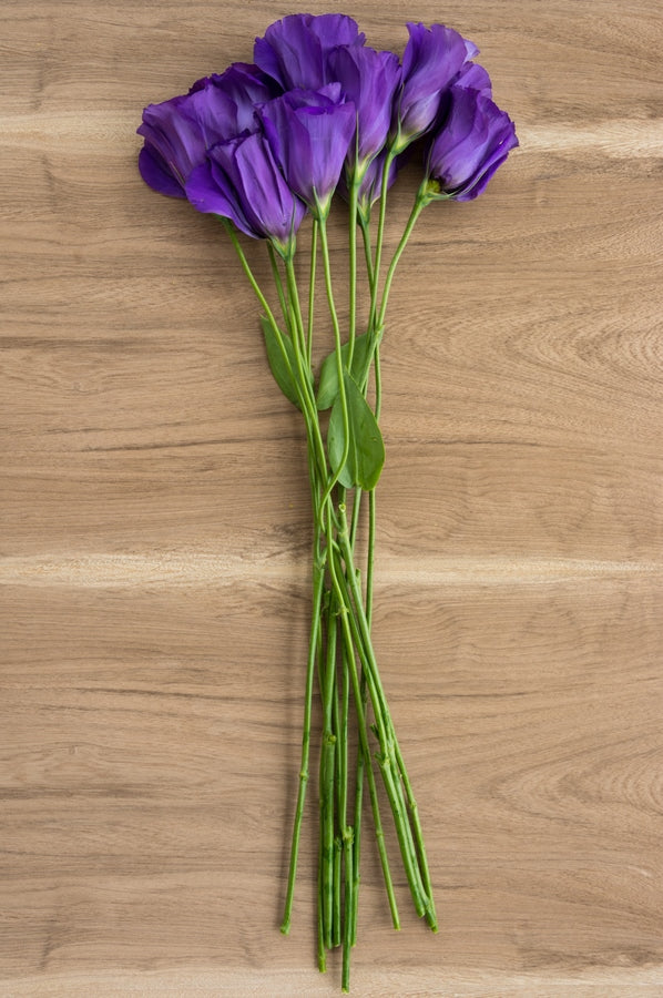 Lisianthus Purple