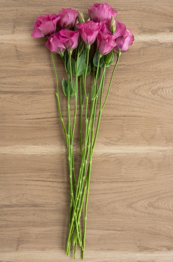 Lisianthus Hot Pink
