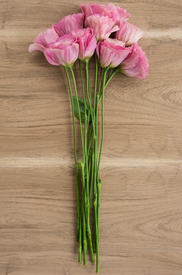 Lisianthus Pink