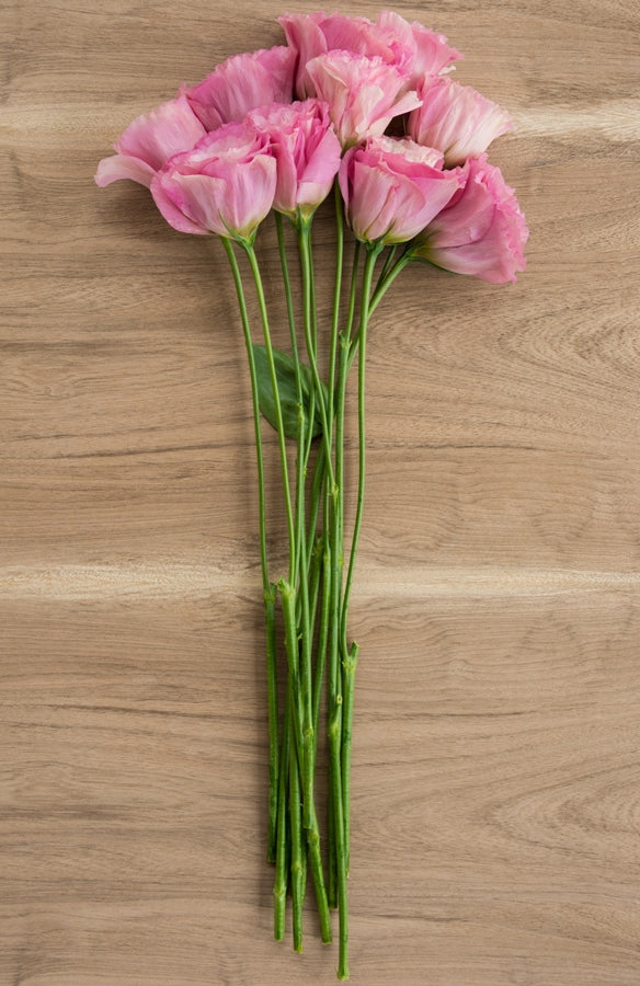 Lisianthus Pink