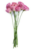 Lisianthus Pink