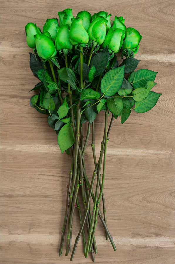Green Tinted Rose