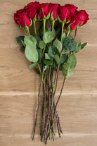 Forever Young Red Rose