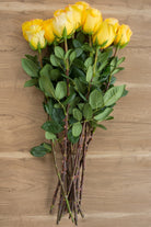 Conga Yellow Rose