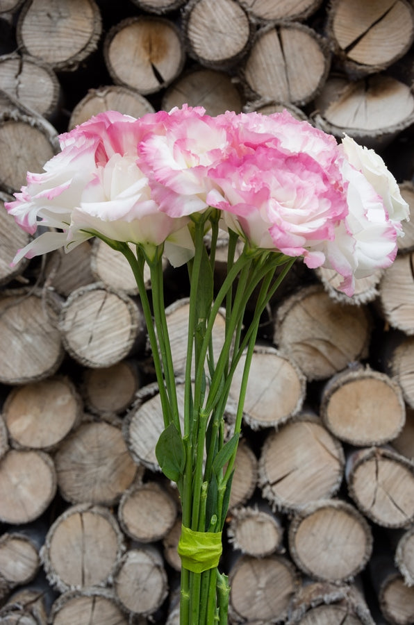Lisianthus White and Pink
