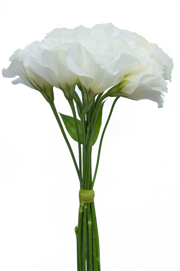 Lisianthus White