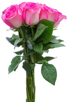 Classic Cezanne Rose