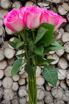 Classic Cezanne Rose