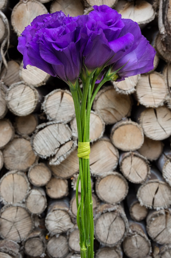 Lisianthus Purple