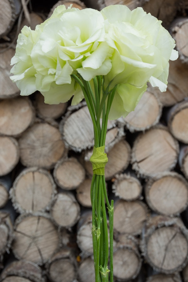Lisianthus Green