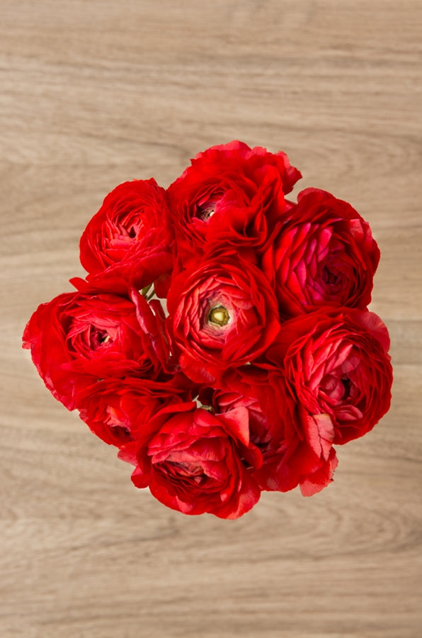 Red Ranunculus Bouquet
