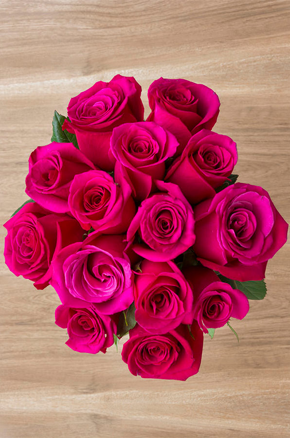 Hot Princess Pink Rose