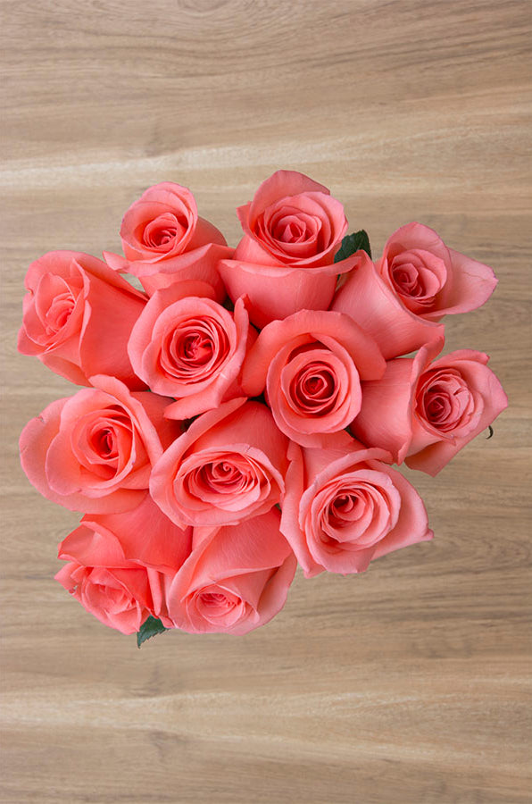 Amsterdam Rose