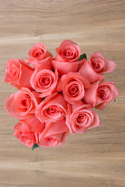 Amsterdam Rose