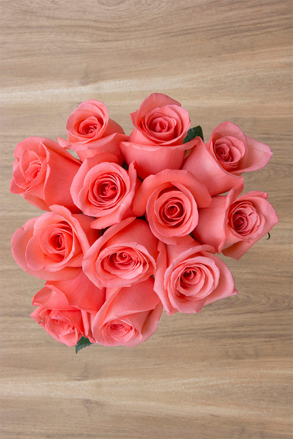Amsterdam Rose