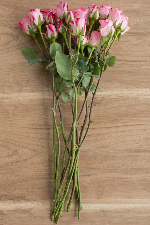 Pink & White Spray Roses