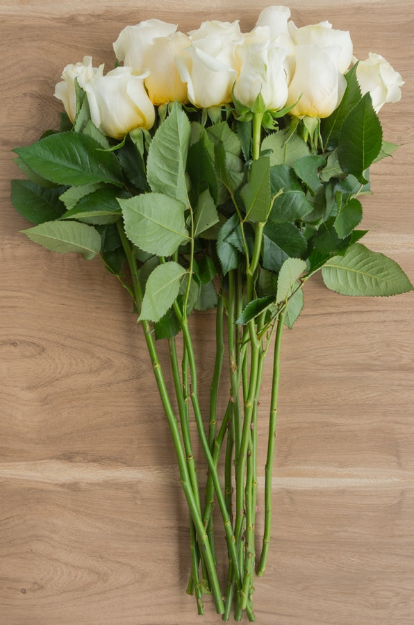 Creme de la Creme Rose
