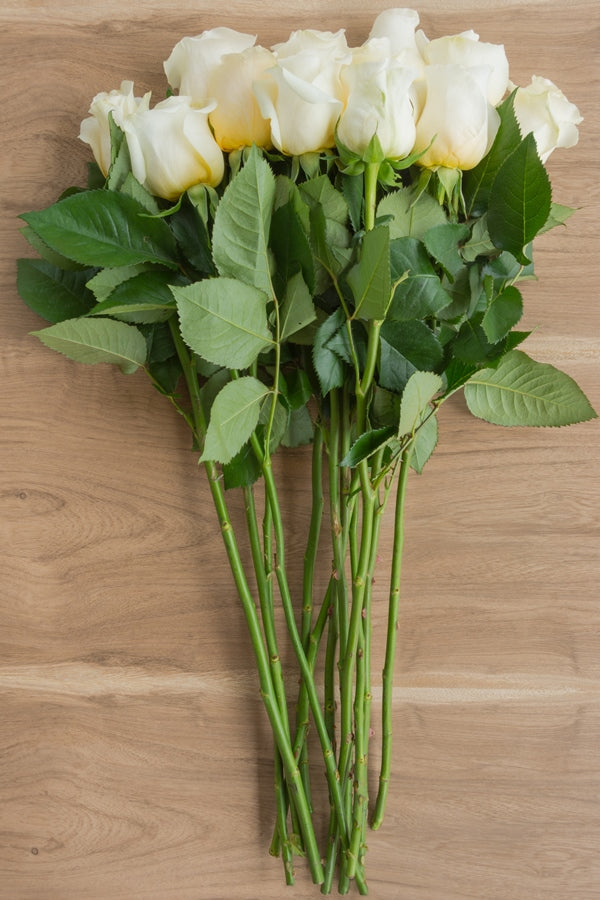 Creme de la Creme Rose