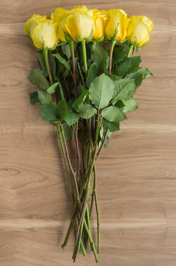 Gold Strike Yellow Rose