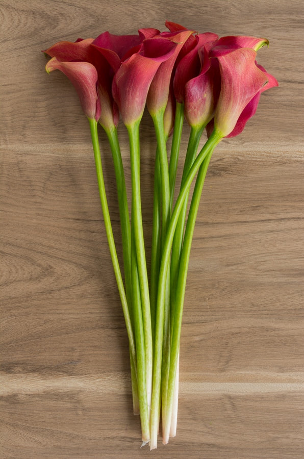 Red Mini Calla