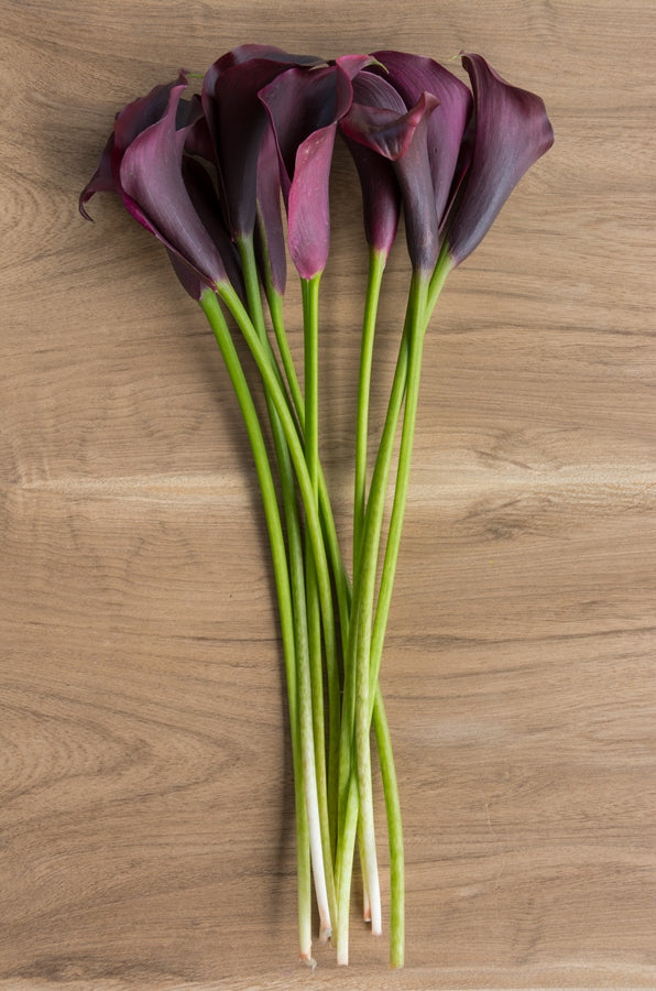 Black Mini Calla