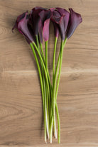 Black Mini Calla