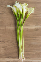 White Mini Calla