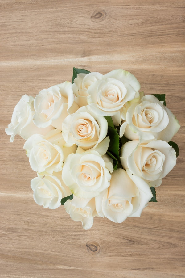 Escimo White Rose